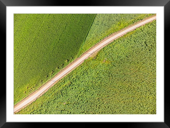 Drone picture from a maize field Framed Mounted Print by Arpad Radoczy