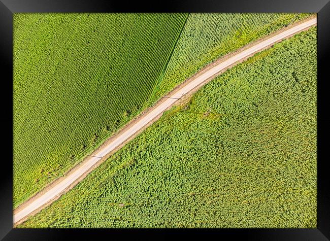 Drone picture from a maize field Framed Print by Arpad Radoczy