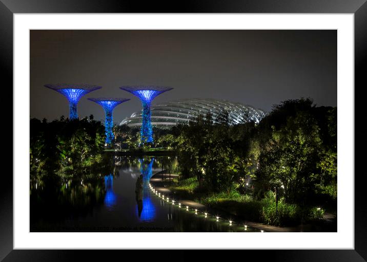  The Spectacular Gardens by the Bay! Framed Mounted Print by Fiona Turnbull