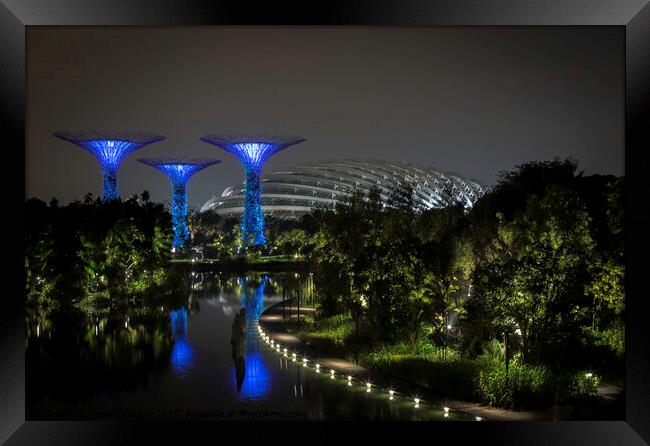  The Spectacular Gardens by the Bay! Framed Print by Fiona Turnbull
