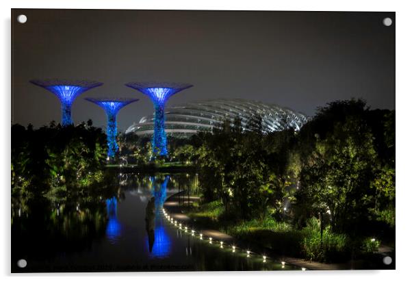  The Spectacular Gardens by the Bay! Acrylic by Fiona Turnbull