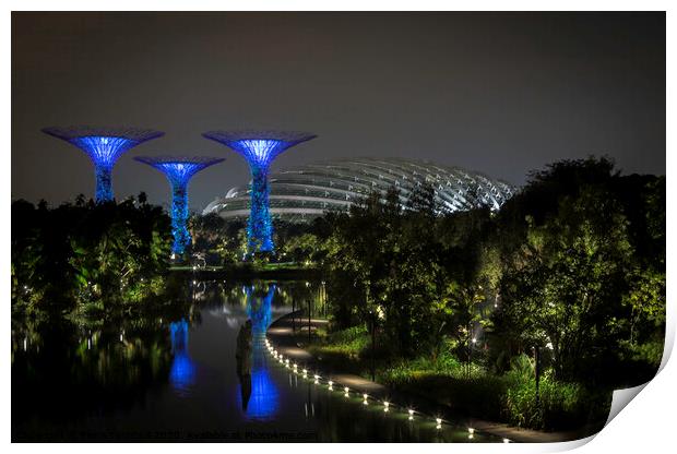  The Spectacular Gardens by the Bay! Print by Fiona Turnbull