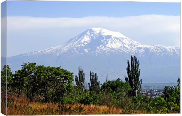 View of the majestic Mount Ararat Canvas Print by Mikhail Pogosov