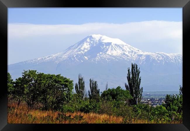 View of the majestic Mount Ararat Framed Print by Mikhail Pogosov