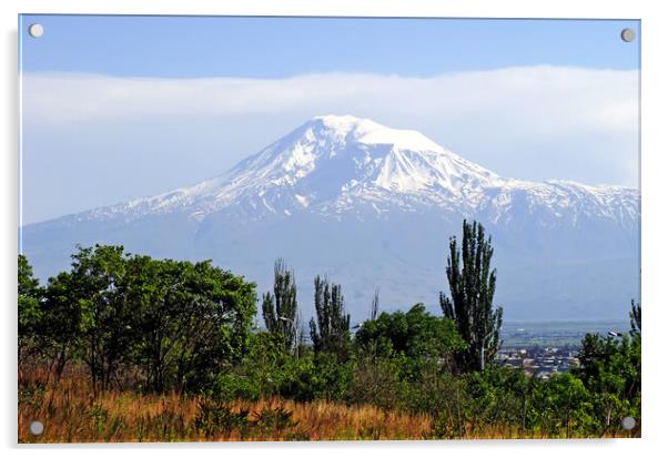 View of the majestic Mount Ararat Acrylic by Mikhail Pogosov