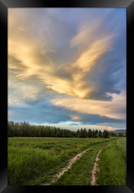 Beautiful hungarian landscape with road at springt Framed Print by Arpad Radoczy