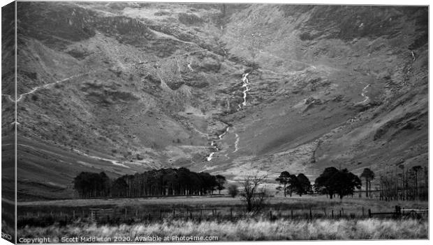 Buttermere Trees Canvas Print by Scott Middleton