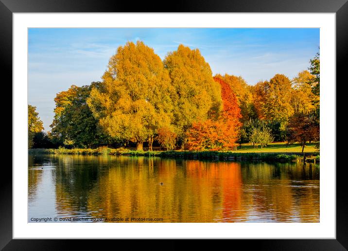 Autumn reflections Framed Mounted Print by David Belcher
