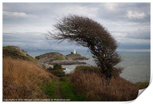 Mumbles lighthouse framed with a wind bent Hawthorne tree Print by Bryn Morgan