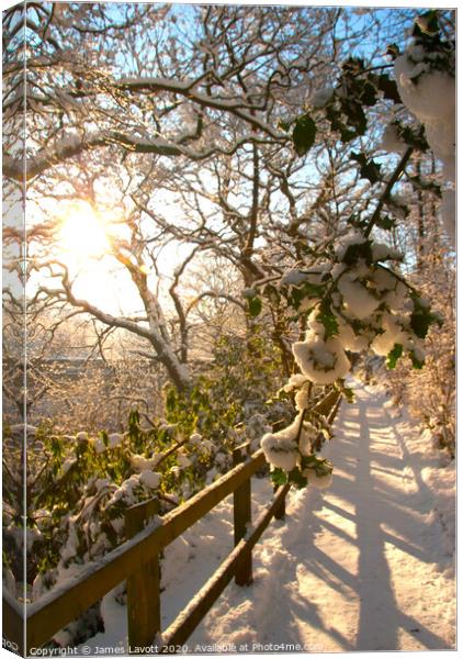 Snow Soaked Branches At Sunrise Canvas Print by James Lavott