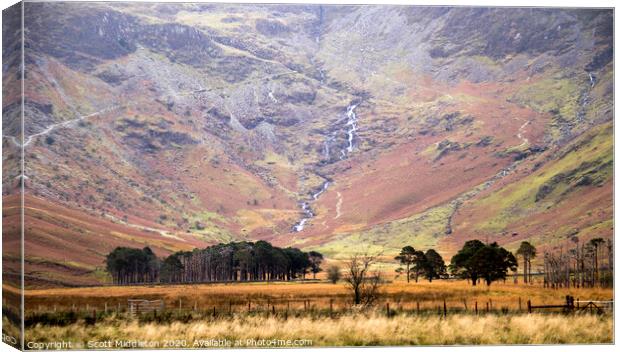 Buttermere Trees Canvas Print by Scott Middleton