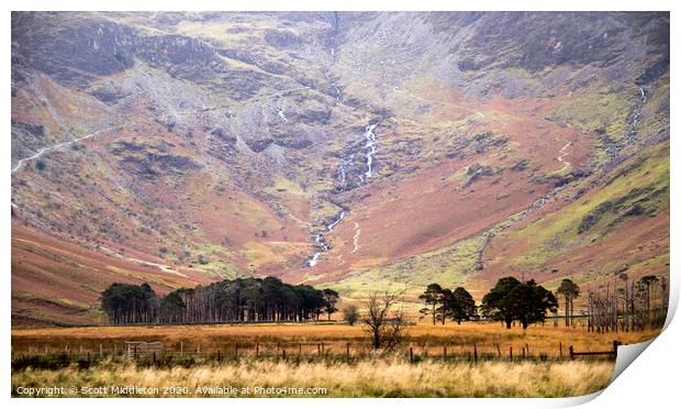 Buttermere Trees Print by Scott Middleton