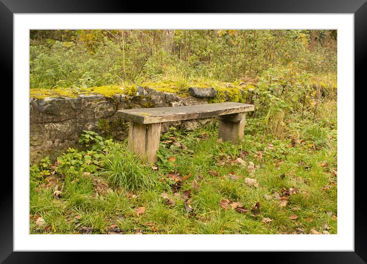 Woodland Bench  Framed Mounted Print by chris hyde