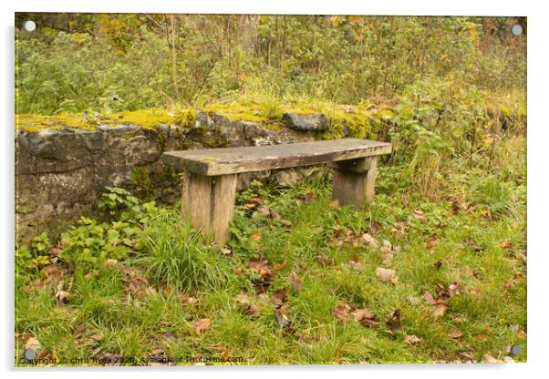 Woodland Bench  Acrylic by chris hyde