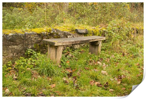 Woodland Bench  Print by chris hyde