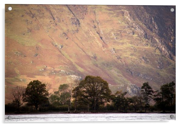 Butternmere fells with trees Acrylic by Scott Middleton