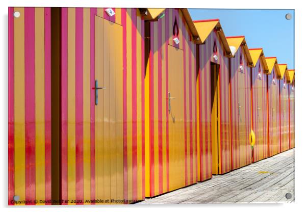 Beach huts Acrylic by David Belcher