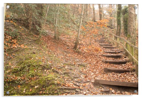 Woodlands Path Acrylic by chris hyde