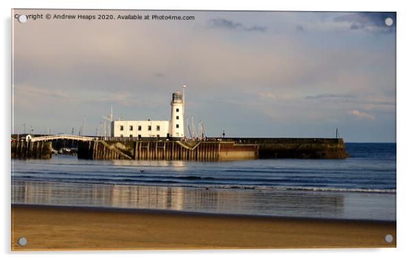 Scarborough lighthouse  Acrylic by Andrew Heaps
