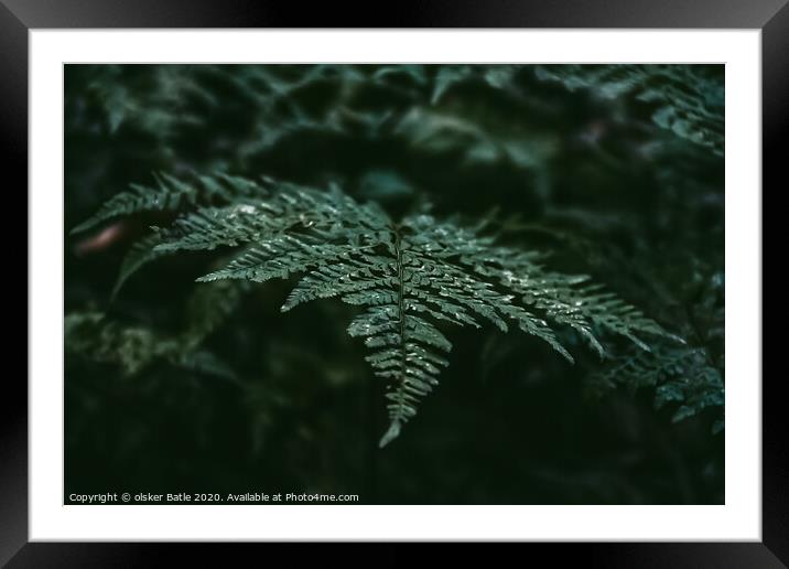 Plant leaves Framed Mounted Print by olsker Batle