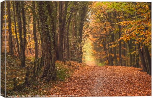 A Woodland Walk at Hardwick in Autumn Canvas Print by Gary Clarricoates