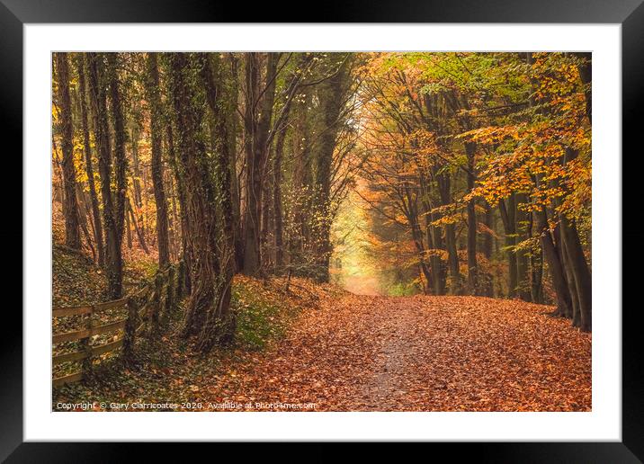A Woodland Walk at Hardwick in Autumn Framed Mounted Print by Gary Clarricoates