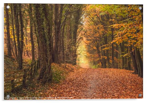 A Woodland Walk at Hardwick in Autumn Acrylic by Gary Clarricoates
