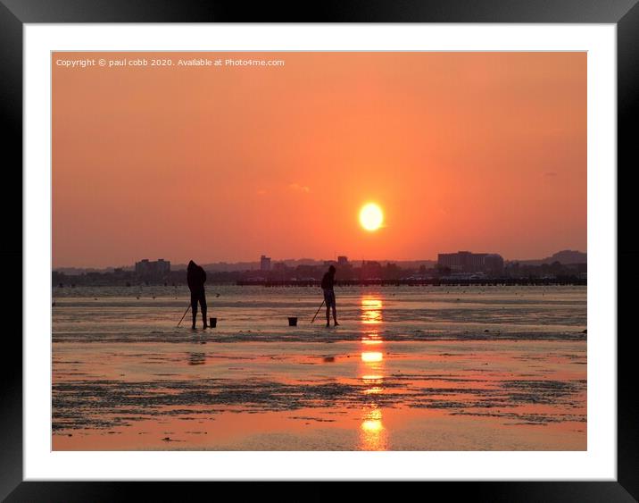 Going for the golden meal. Framed Mounted Print by paul cobb