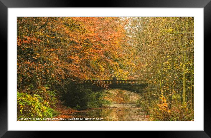 Fun with Ducks at Hardwick Park Framed Mounted Print by Gary Clarricoates