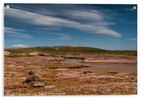 Pink Sea Thrift Carpet, North Uist, Outer Hebrides Acrylic by Kasia Design