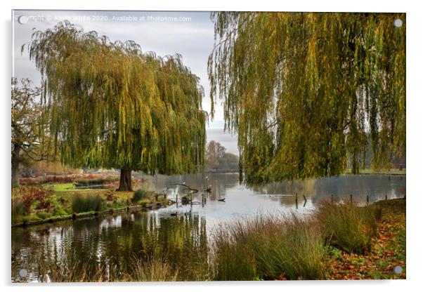 Bushy Park on a November morning Acrylic by Kevin White