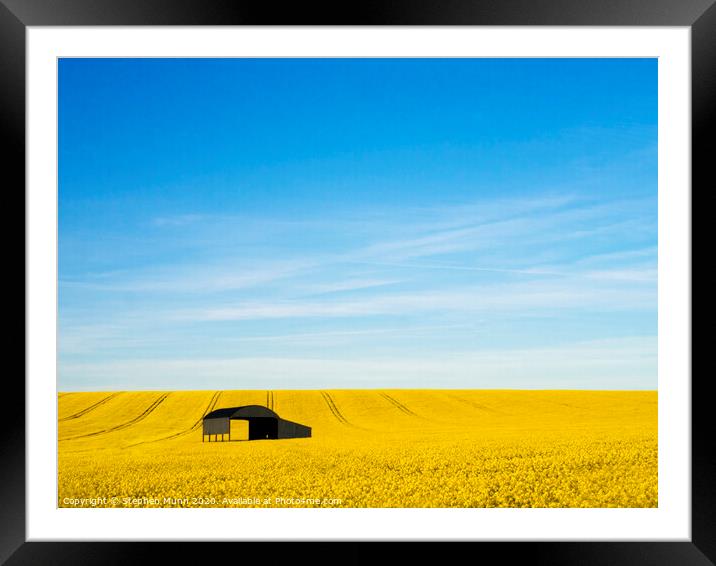 Rapeseed Barn, Cranborne Chase Framed Mounted Print by Stephen Munn