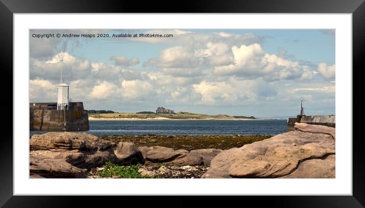 Bamburgh Castle viewed from Seahouses. Framed Mounted Print by Andrew Heaps
