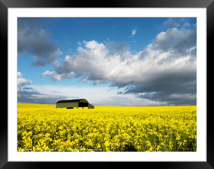 Rapeseed field under a cloudy sky Framed Mounted Print by Stephen Munn