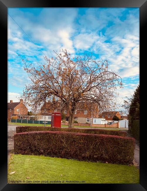 Tree of hope Framed Print by Sam Owen