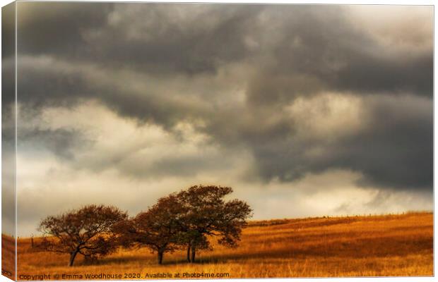 Stormy Skies over Penderyn Canvas Print by Emma Woodhouse