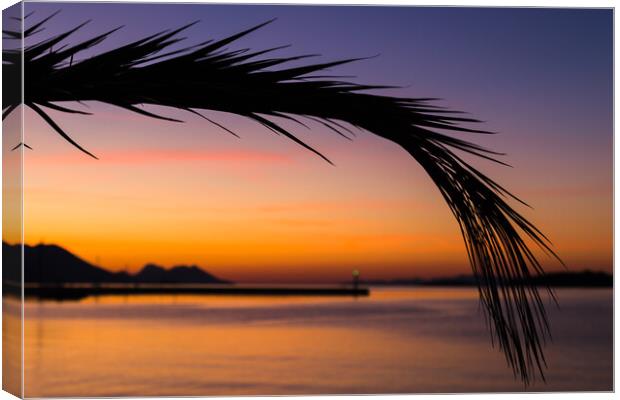 Silhouette of a palm leaf Canvas Print by Jason Wells