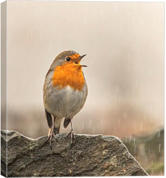 Singing in the rain Canvas Print by Emma Woodhouse