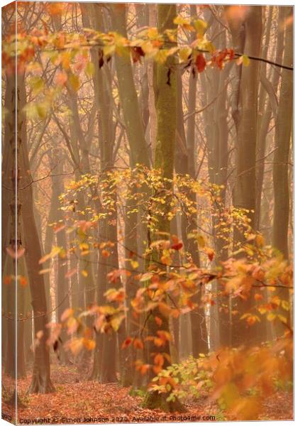 Autumn Mist and Woodland Canvas Print by Simon Johnson