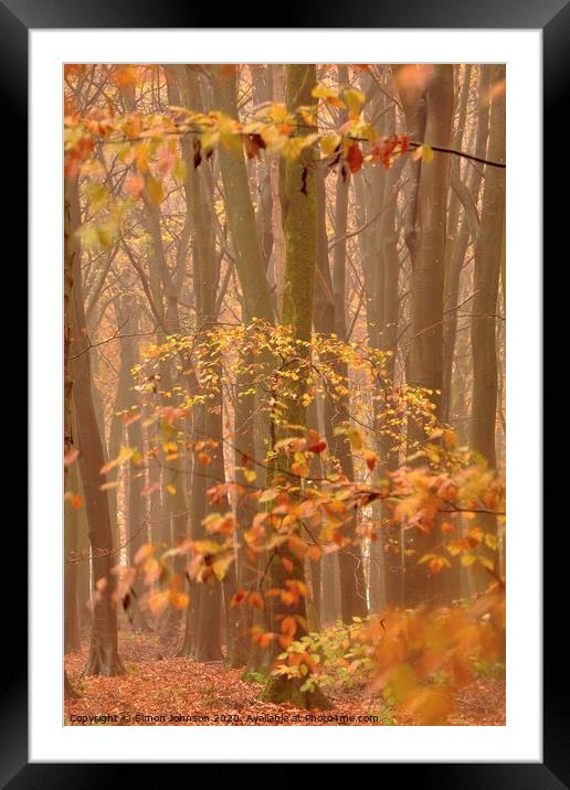 Autumn Mist and Woodland Framed Mounted Print by Simon Johnson