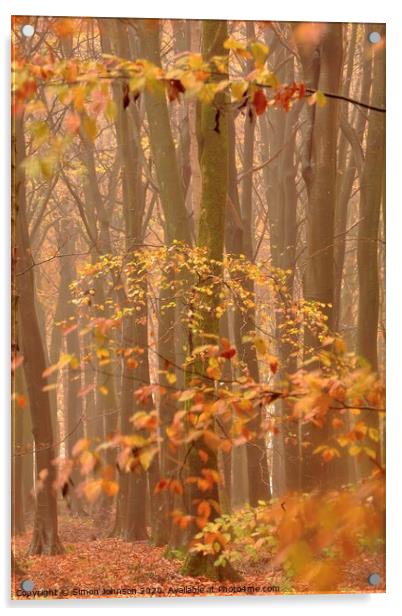 Autumn Mist and Woodland Acrylic by Simon Johnson