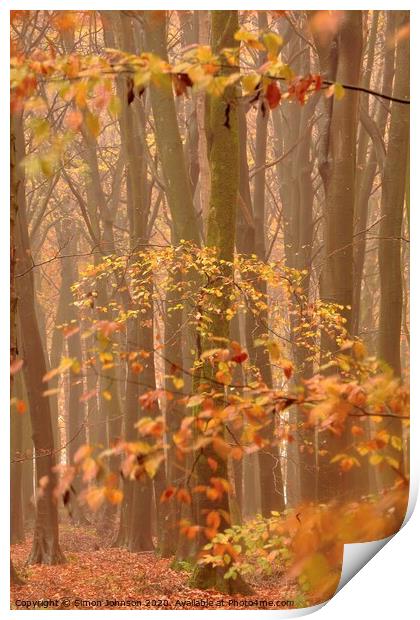 Autumn Mist and Woodland Print by Simon Johnson