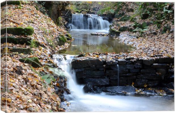 Autumn cascade of water with milky water Canvas Print by Andrew Heaps