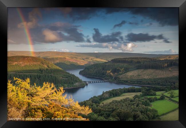 Welsh Gold in the Elan Valley Framed Print by Sorcha Lewis
