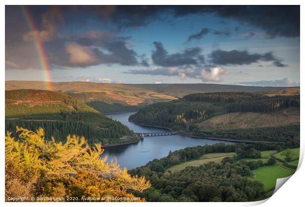 Welsh Gold in the Elan Valley Print by Sorcha Lewis