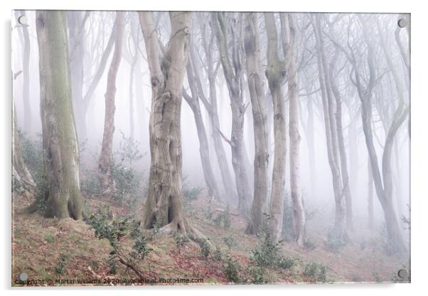 Misty Wood Acrylic by Martin Williams
