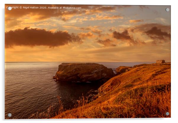 The Island Acrylic by Nigel Hatton