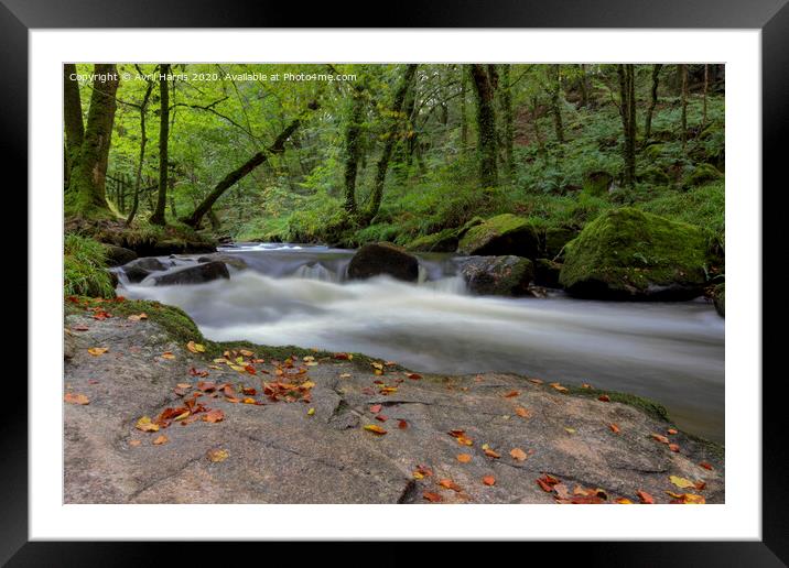 Golitha falls nature reserve Framed Mounted Print by Avril Harris