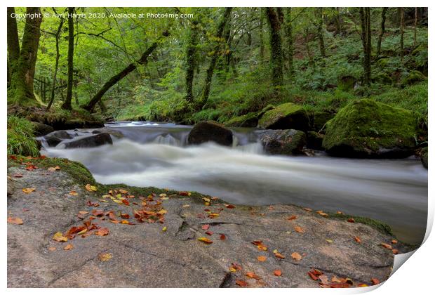 Golitha falls nature reserve Print by Avril Harris