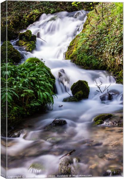 A waterfall surrounded by trees Canvas Print by Simon Wilkinson